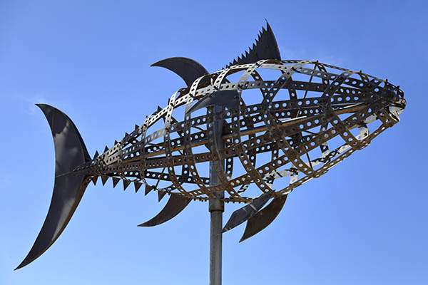 Atún en Conil de la Frontera