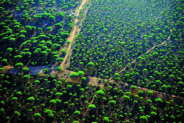 Pinares de Roche 2 en Conil de la Frontera Pinares de Roche 2 en Conil de la Frontera