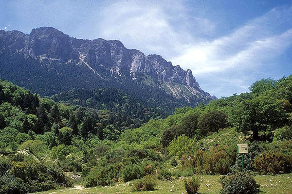 Parque Natural Sierra de Grazalema Parque Natural Sierra de Grazalema