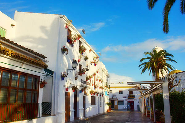 Porque Conil de la Frontera 2
