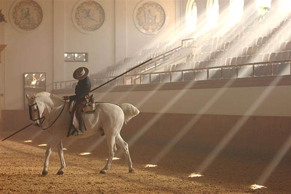 Real Escuela Arte Ecuestre Jerez Real Escuela Arte Ecuestre Jerez