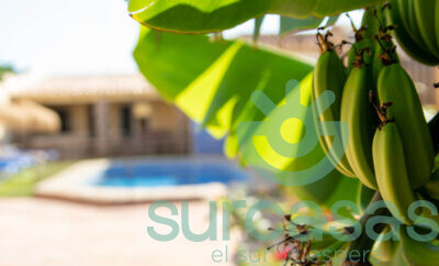 Chalet Rocío